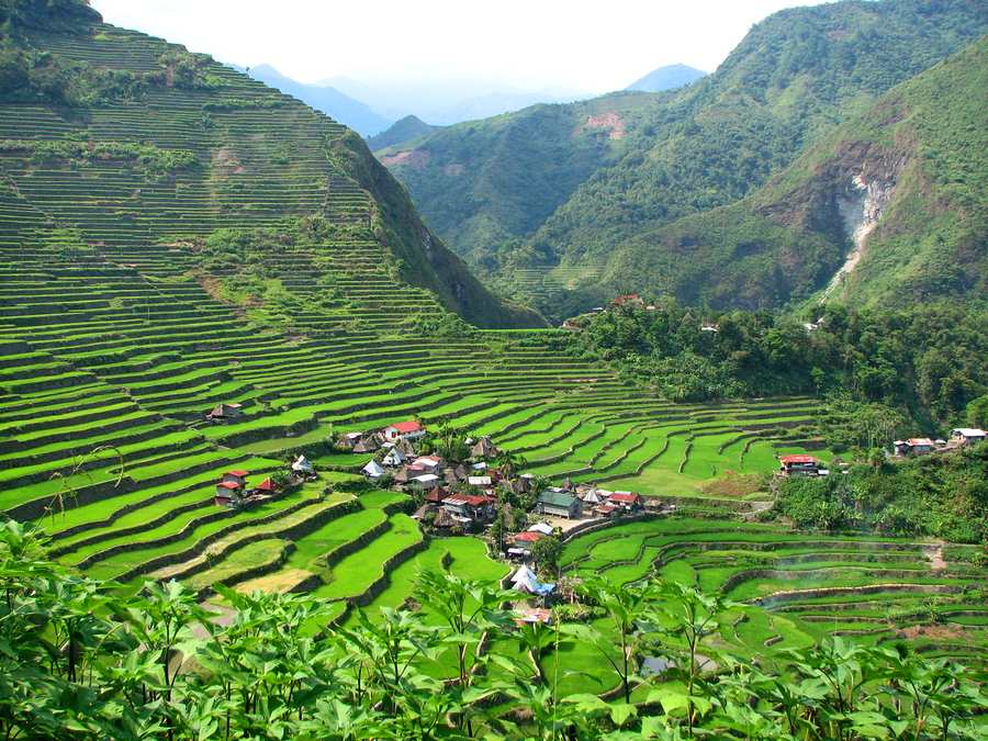 Travel Guide How To Get To Batad Rice Terraces In Banaue Ifugao Out