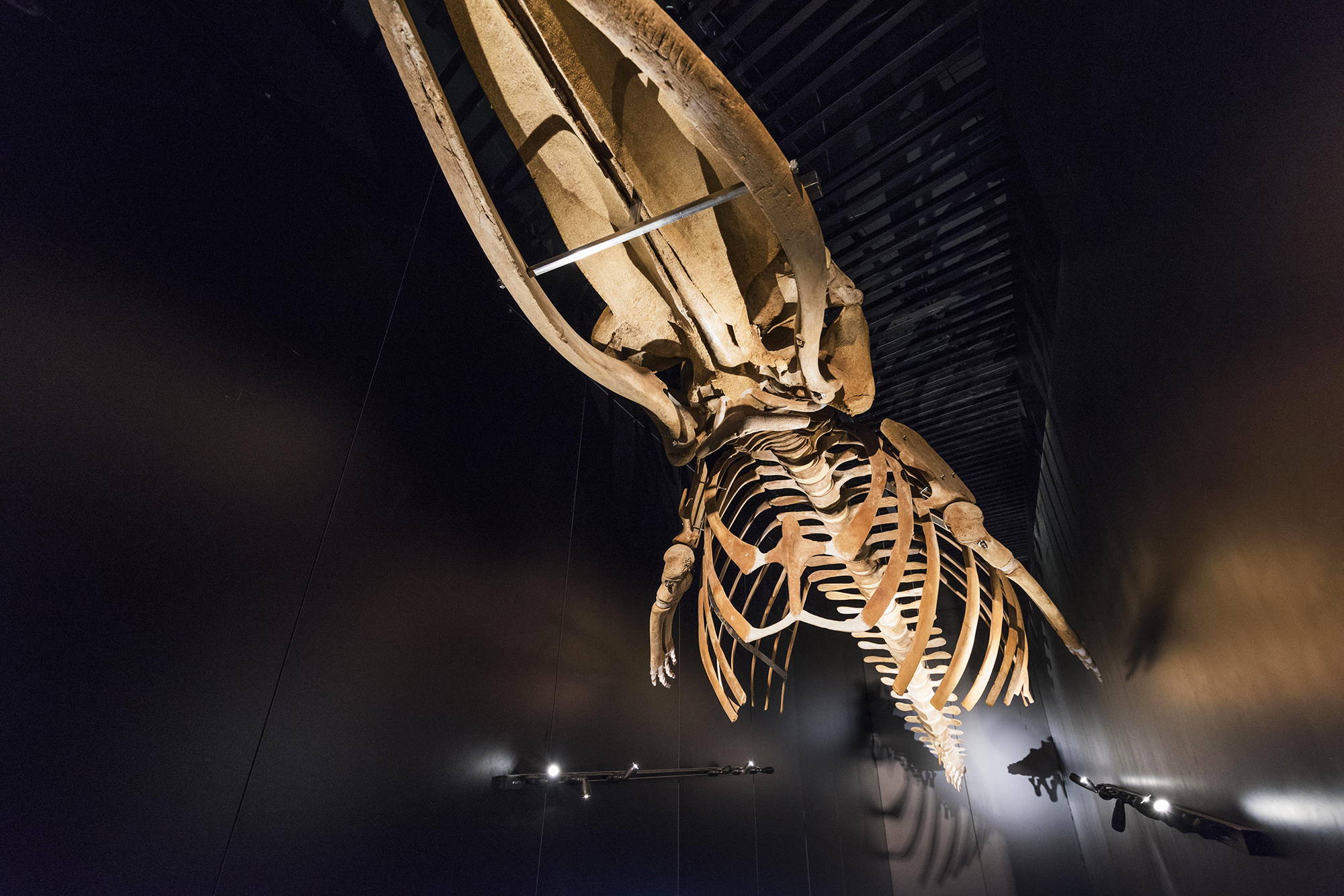 Iluminación museos