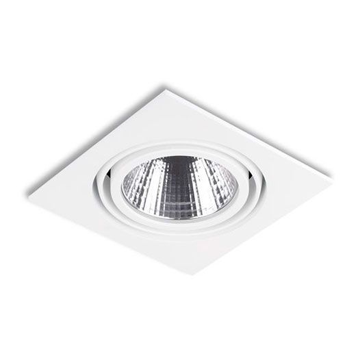 Downlight led cardan