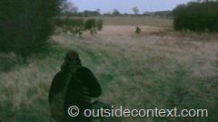 Image8