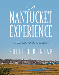 self-publishing author
