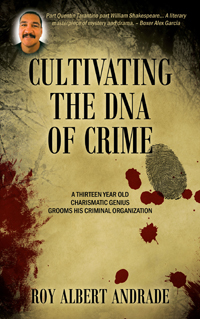 self-publishing author