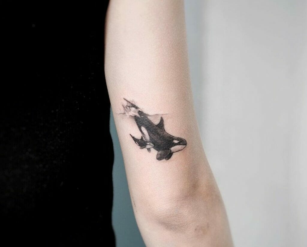 10 Best Orca Tattoo Ideas You Have To See To Believe! | Outsons | Men's Fashion Tips And Style Guides 824_x_1024_jpg