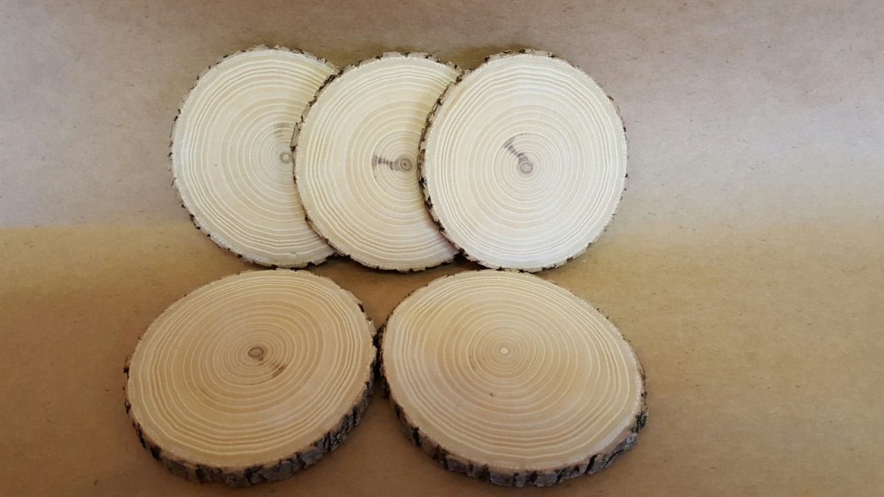 Tree Round Assortment, 6 types - Outsource Solutions LLC