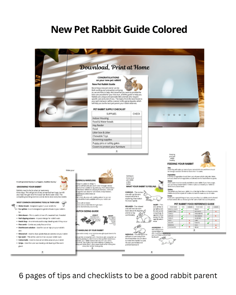 This is a mockup for The New Pet Rabbit Guide in color. There are five pages of the set shown with a home printer. Instructions at the top of the printer say Download, and Print at Home. The instructions and information for the set is at the bottom in black.