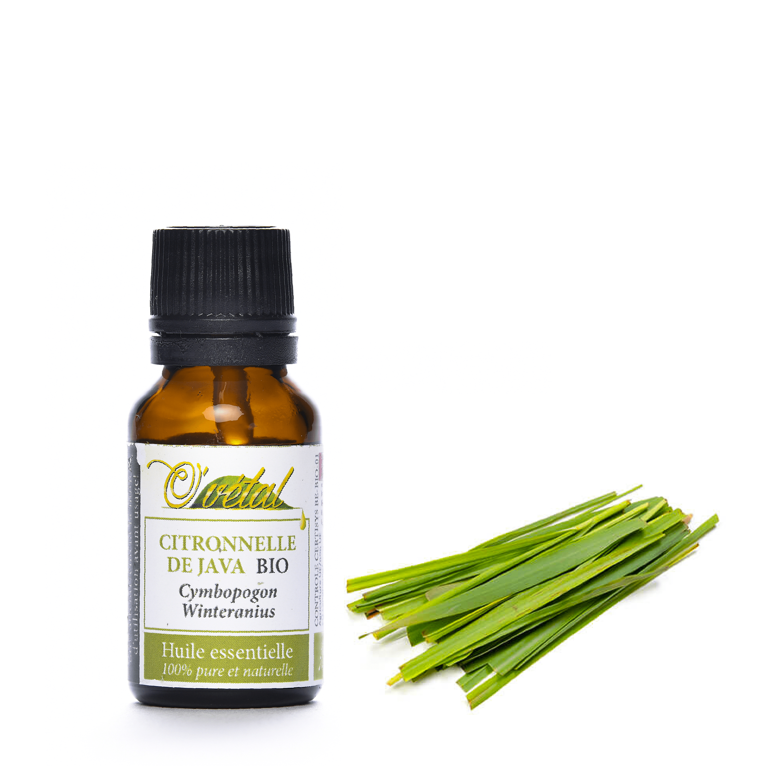 CITRONNELLE DE JAVA