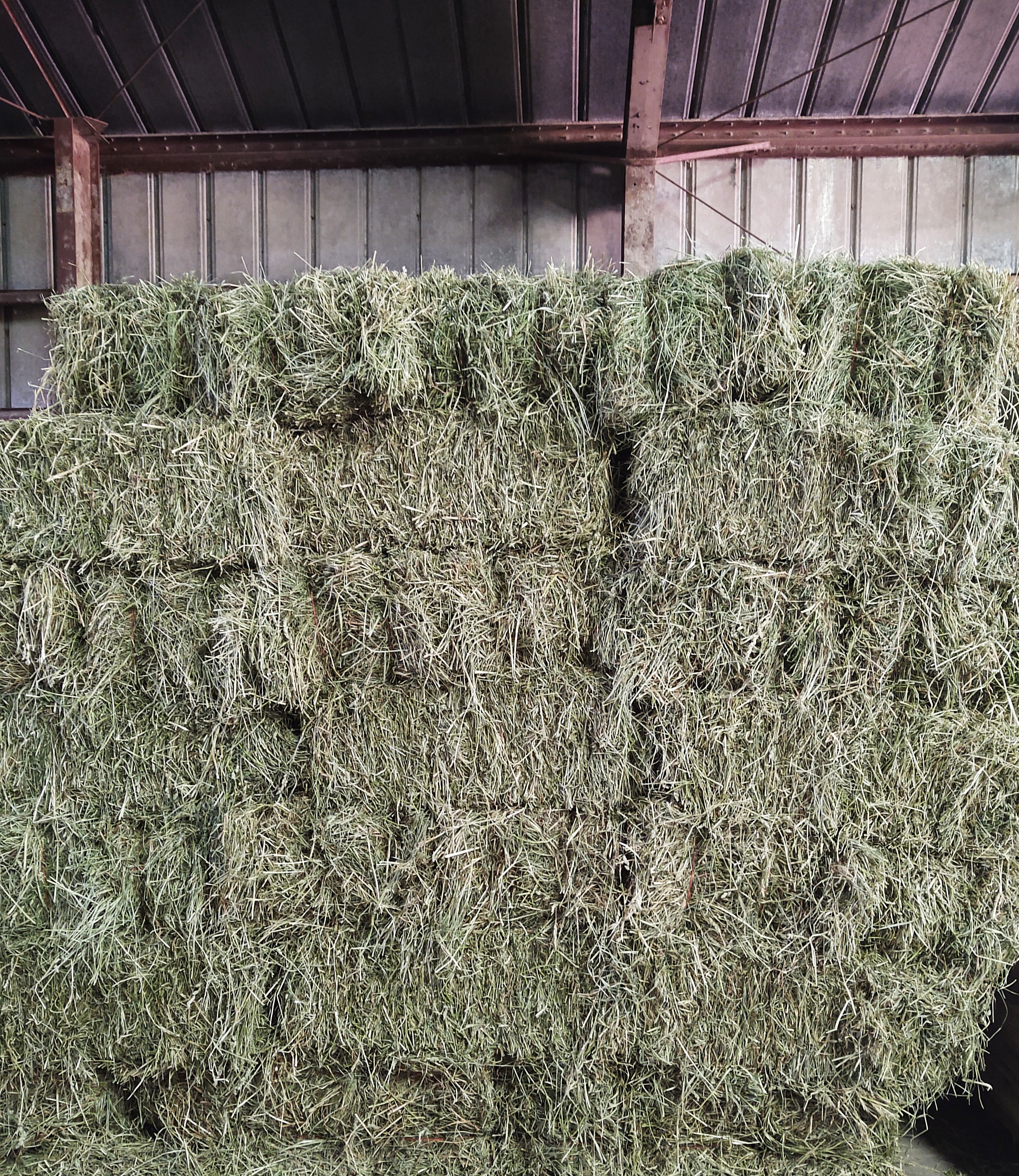 Hay Ovid Elevator Co.