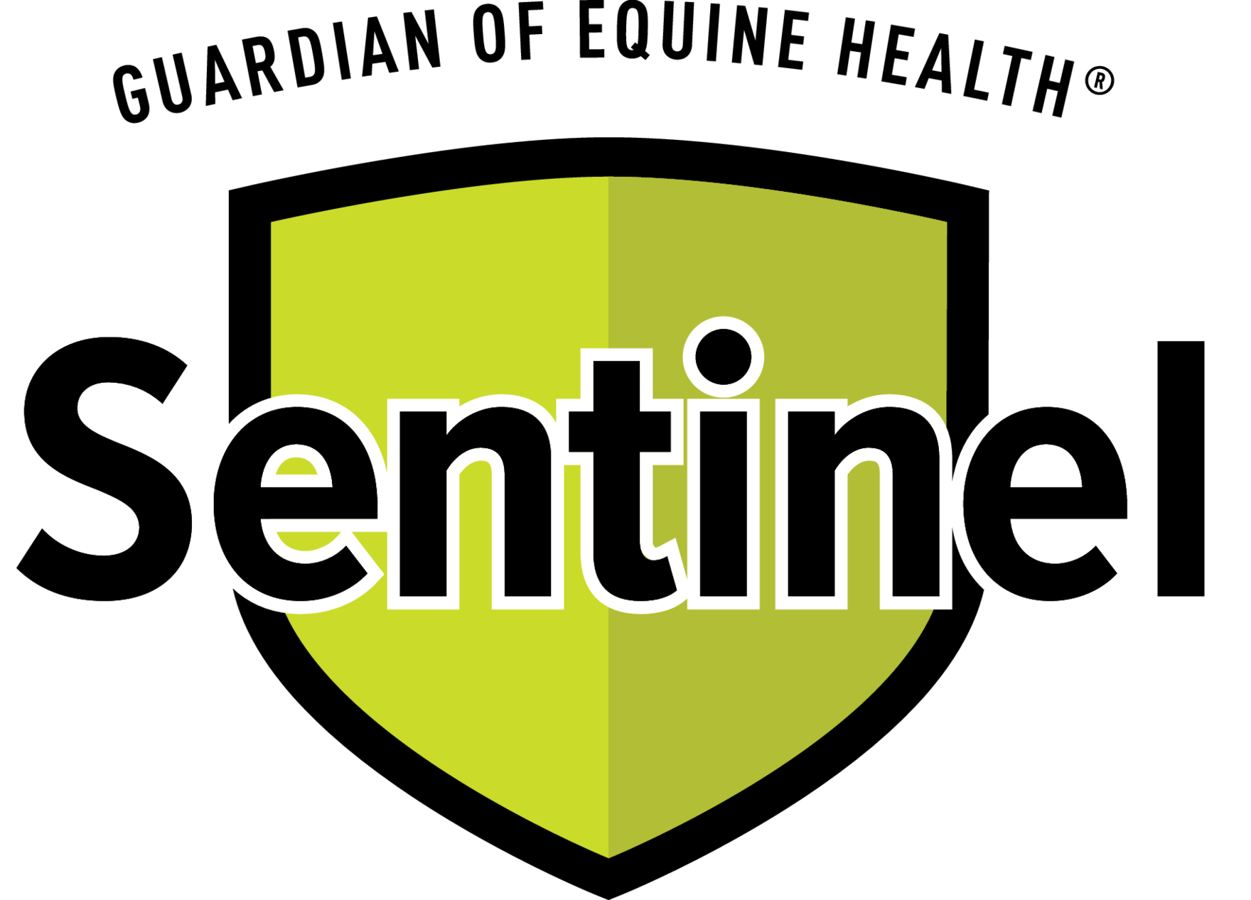 sentinel_VECTOR