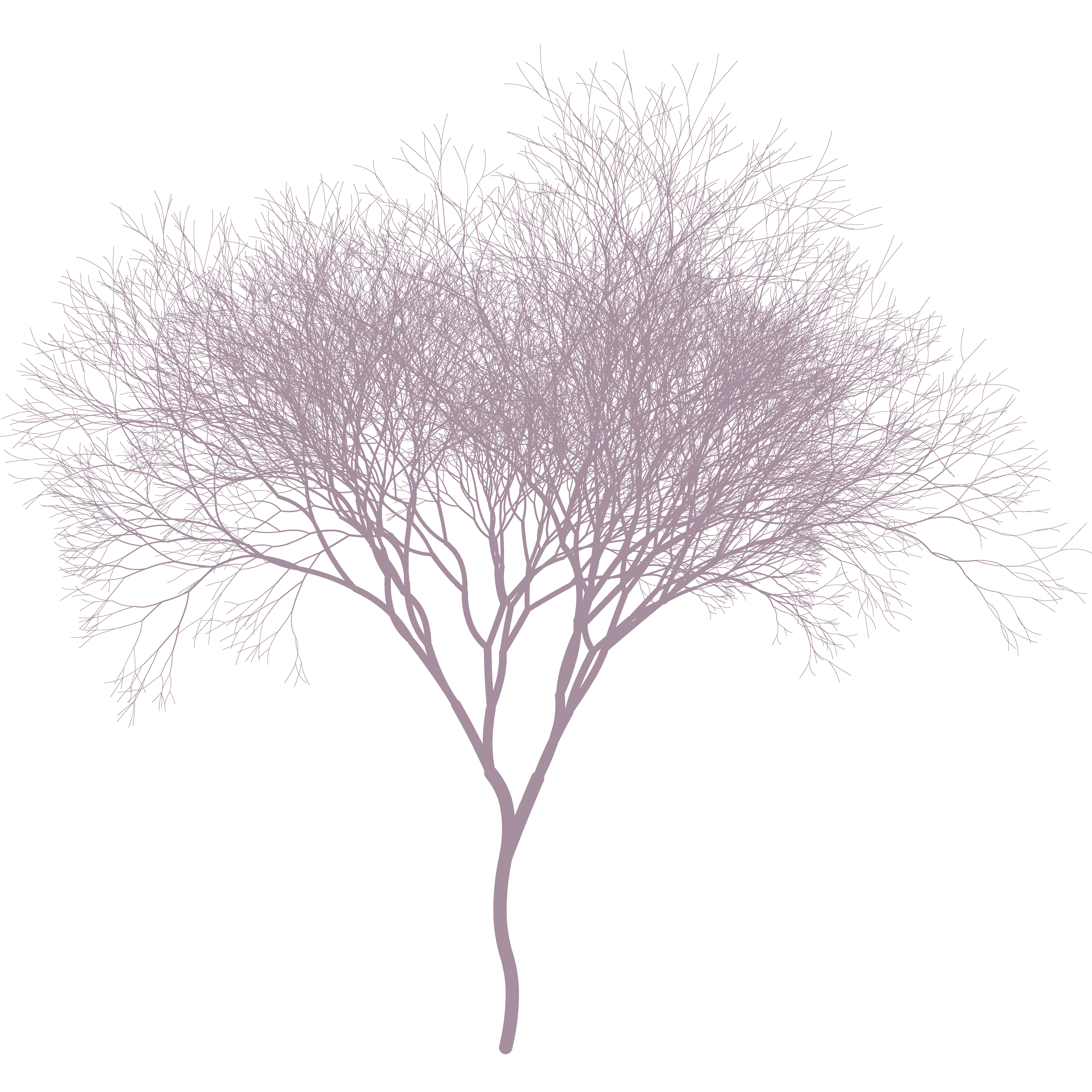 Friendly Trees Png / 2 /