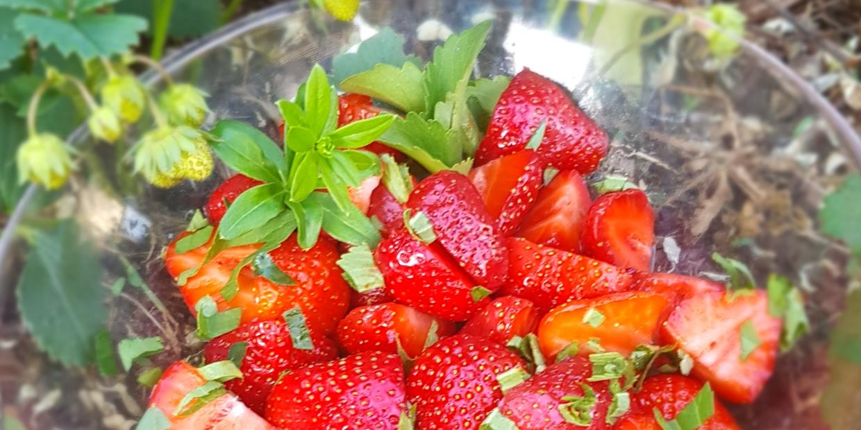 Erdbeeren