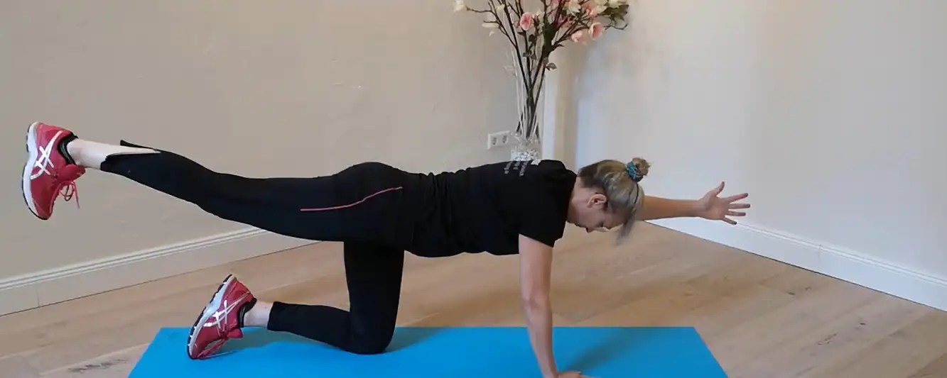 Rehabilitation