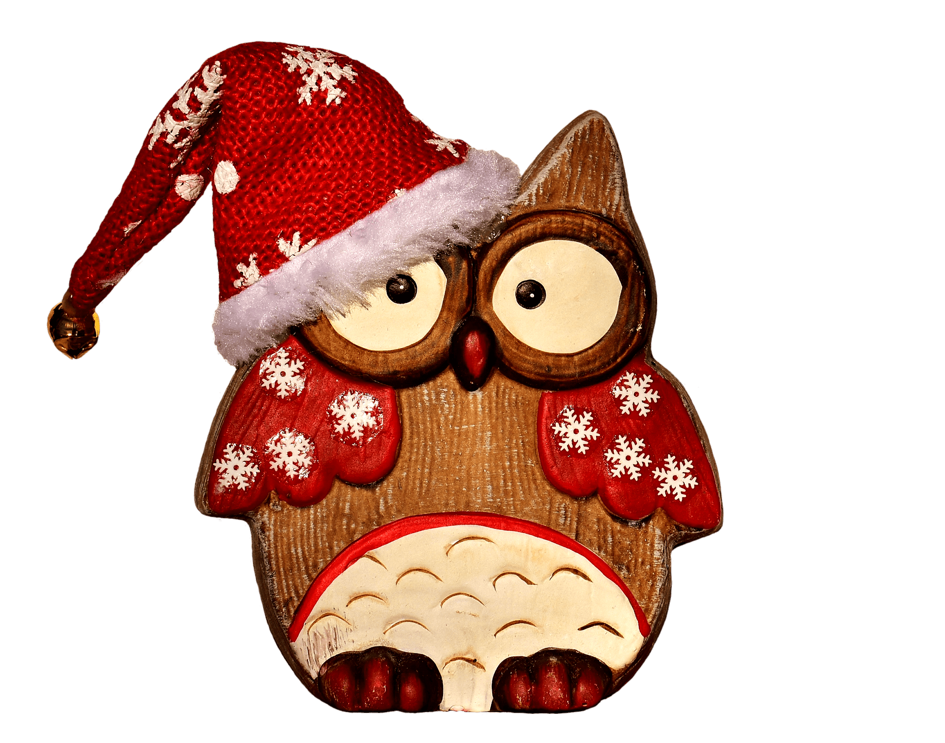 Christmas Holiday Red Owl Picture With Hat