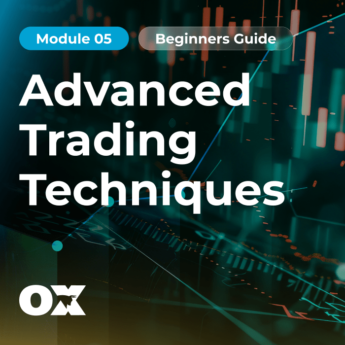 Module 5 Advanced Trading Techniques Ox Securities - Nature Images - Elegant Desktop Collection