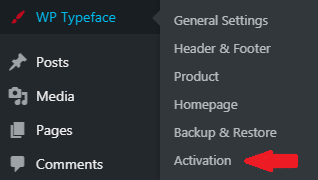 activate wp typeface