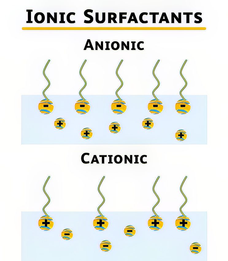 Behavior of different ions in dissolution