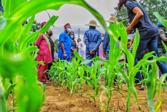 05e91d42-e40e-4c05-b6a7-dfc3a98f1819