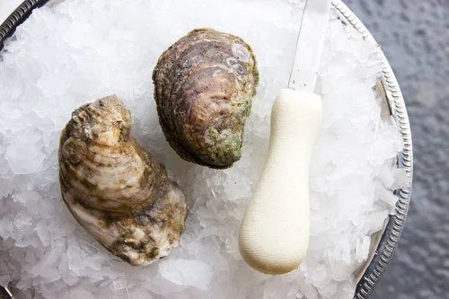 James River Oysters — half shell appearance