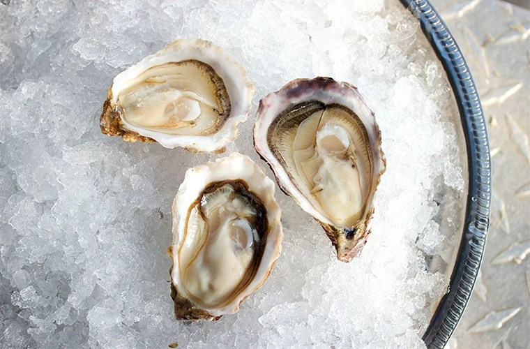 glacier point oysters
