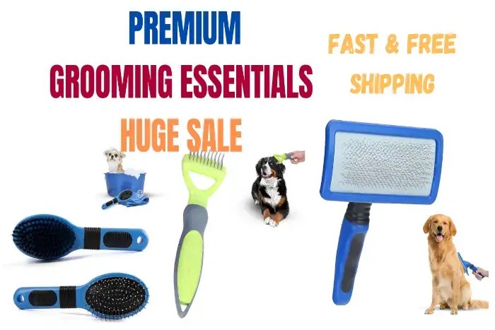 Pet Grooming Essentials