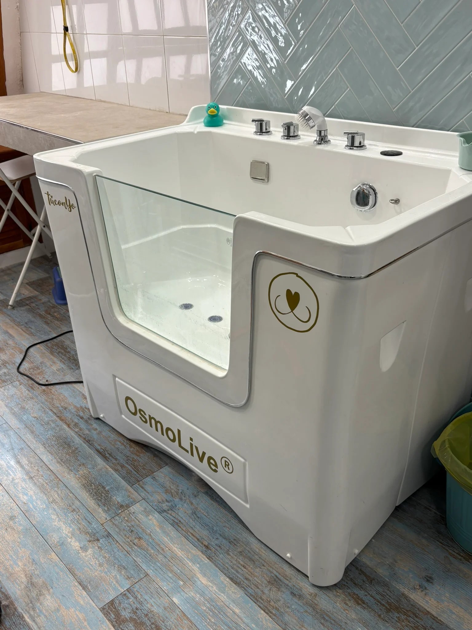 Bañera profesional OsmoLive instalada en centro de baño canino