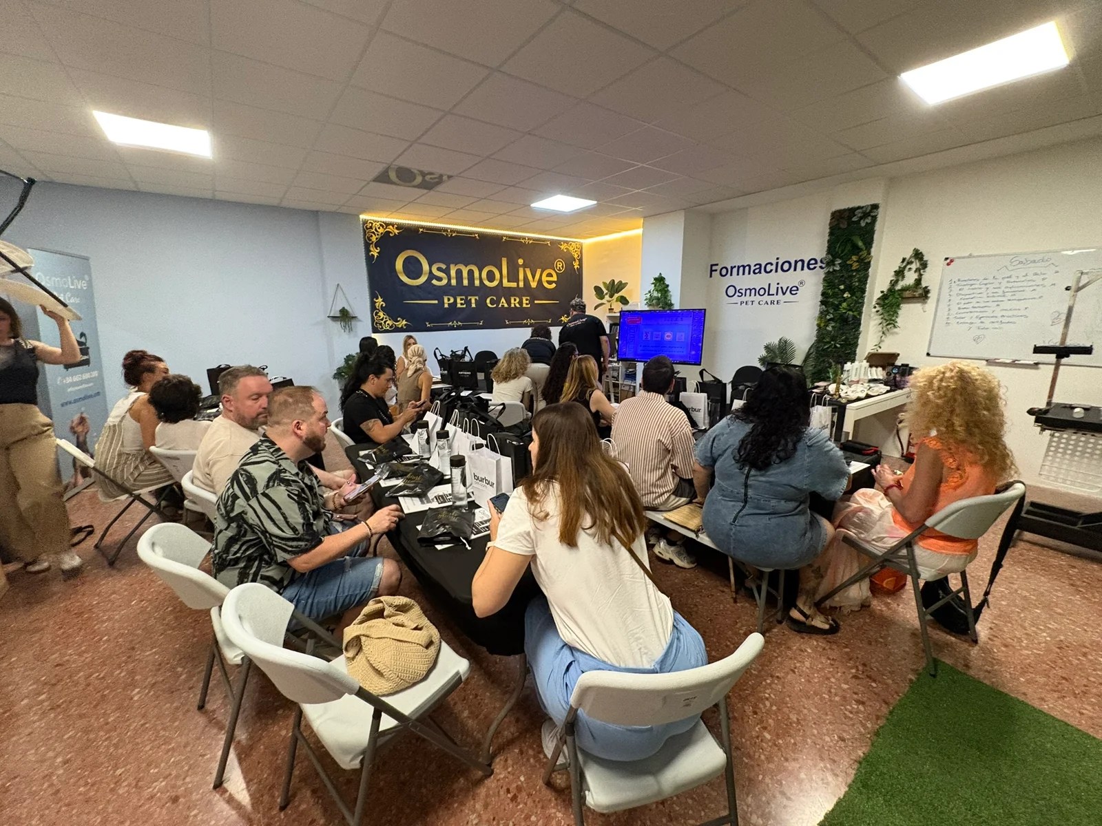 Sesión de formación de OsmoLive Pet Care sobre ozonoterapia y agua osmotizada para peluquerías caninas