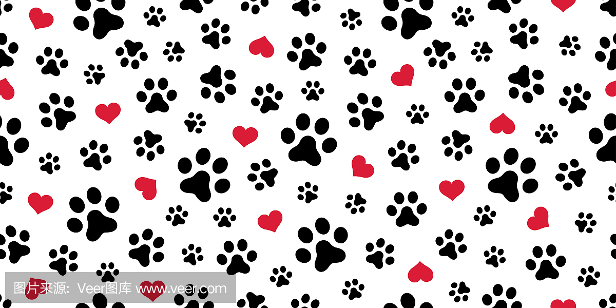 狗爪子和猫爪子的区别_真正野生猫爪草图片