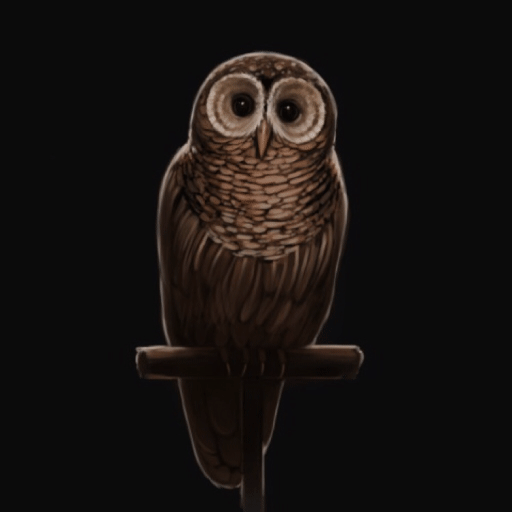 Owls Wiki Harry Potter Amino