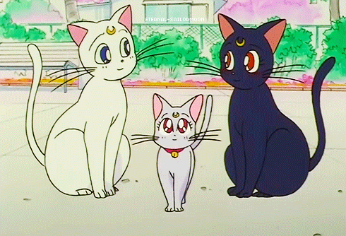 Luna Artemis Diana Sailor Moon Amino