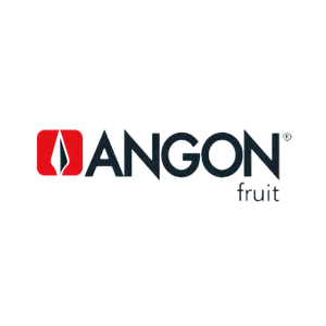 Angon Logo