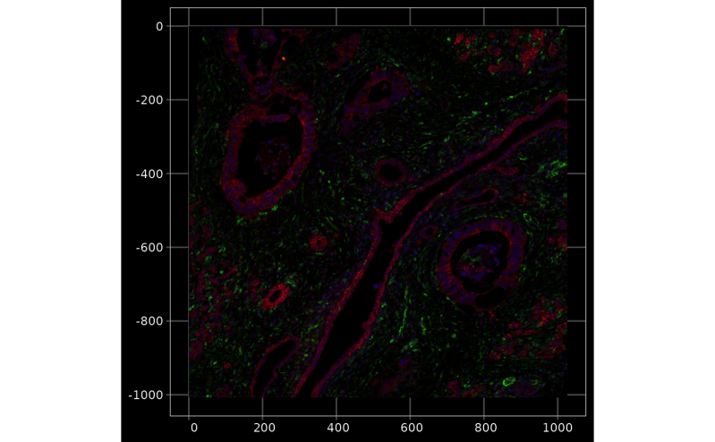 Plot Geometries Without Coloring Plotgeometry Voyager - Premium Sunset Design Gallery - 8K