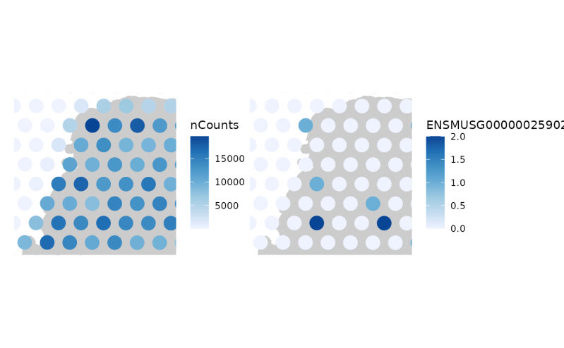 About Spatial Plot Of Single Gene Issue 6 Mingyuyang Yale Dbit - Classic Desktop Space Patterns | Free Download