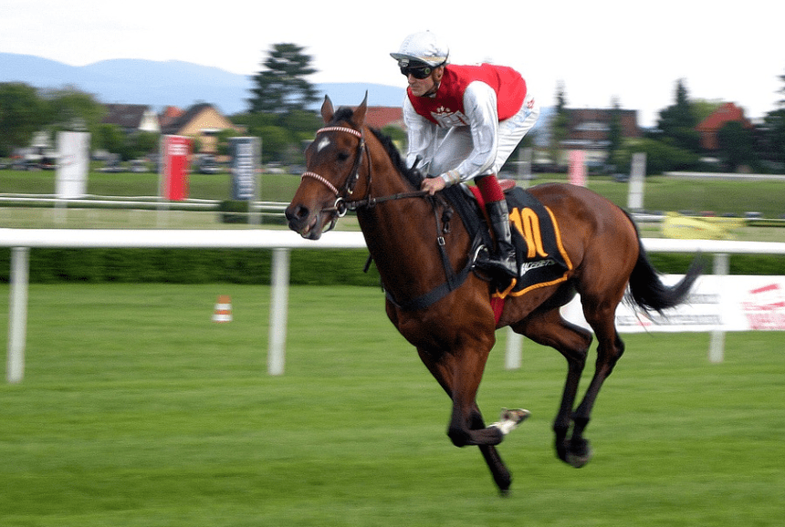 Free Gambar Kaju Race Gayo Pony Djamoi Pacuan Kuda Gayo Indonesia Terbaru by Lampung Hits