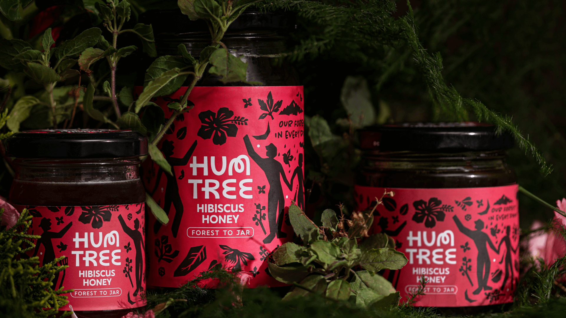 HumTree