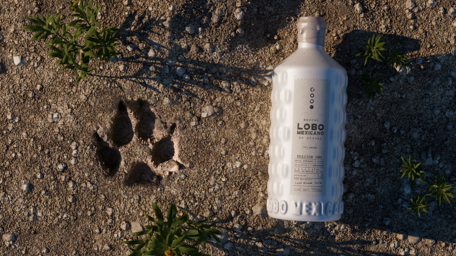Lobo Mexicano, Mezcal De Ritual