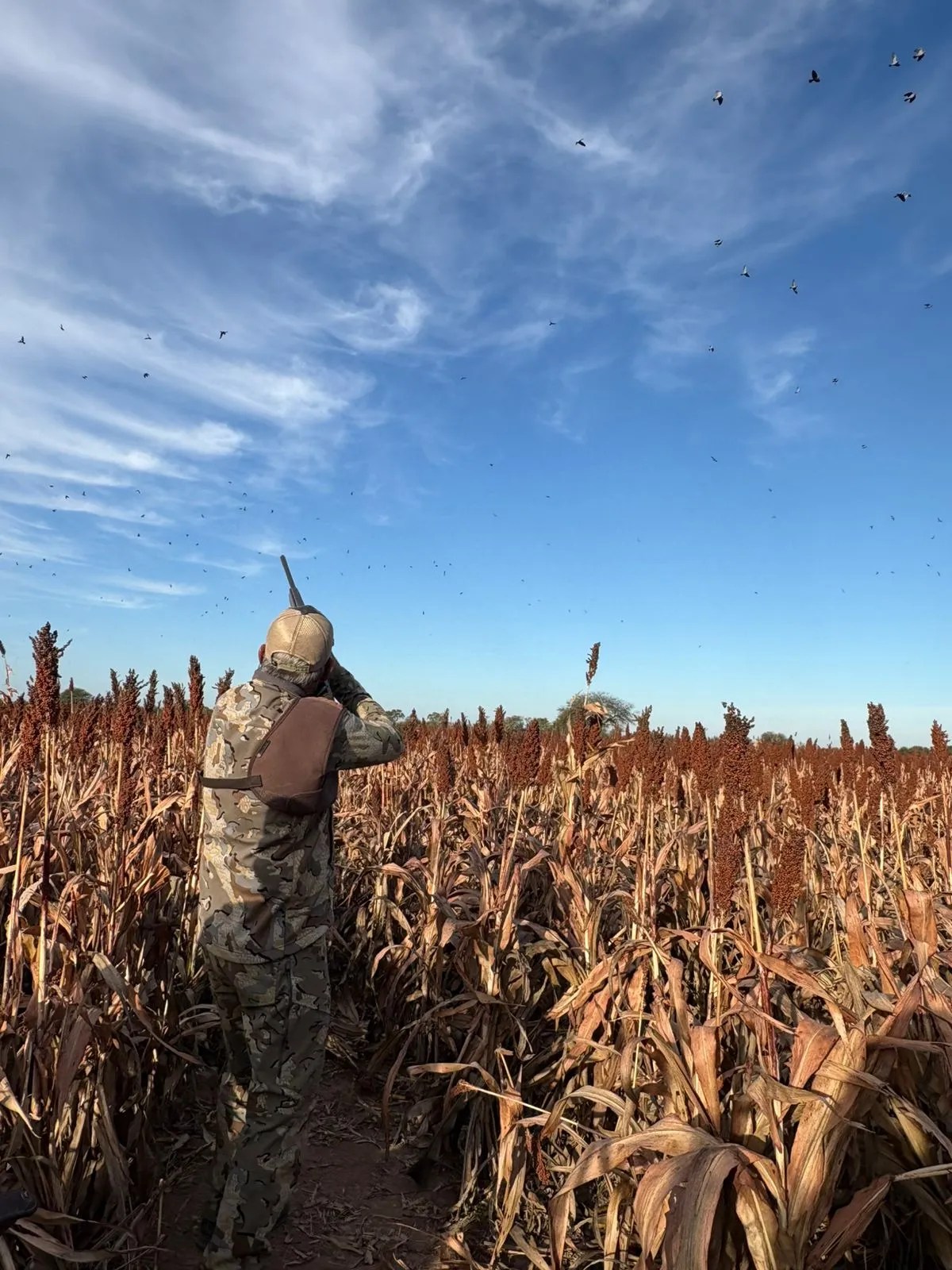 Paco Riestra Hunting