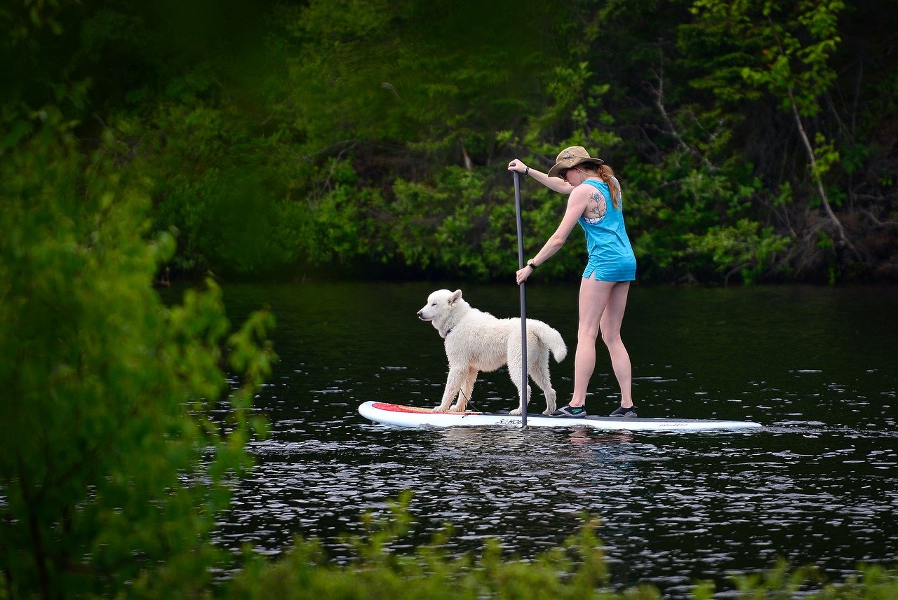 The Best Paddle Boards for Large Dogs: A Complete Guide