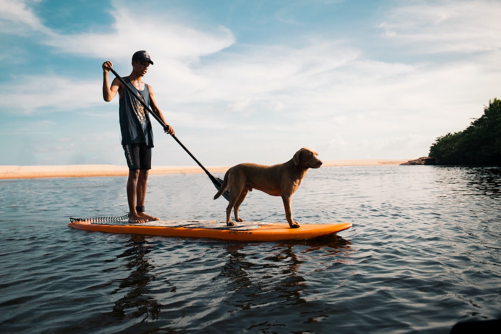 Best Paddle Boards for Christmas Gifts: A Comprehensive Guide