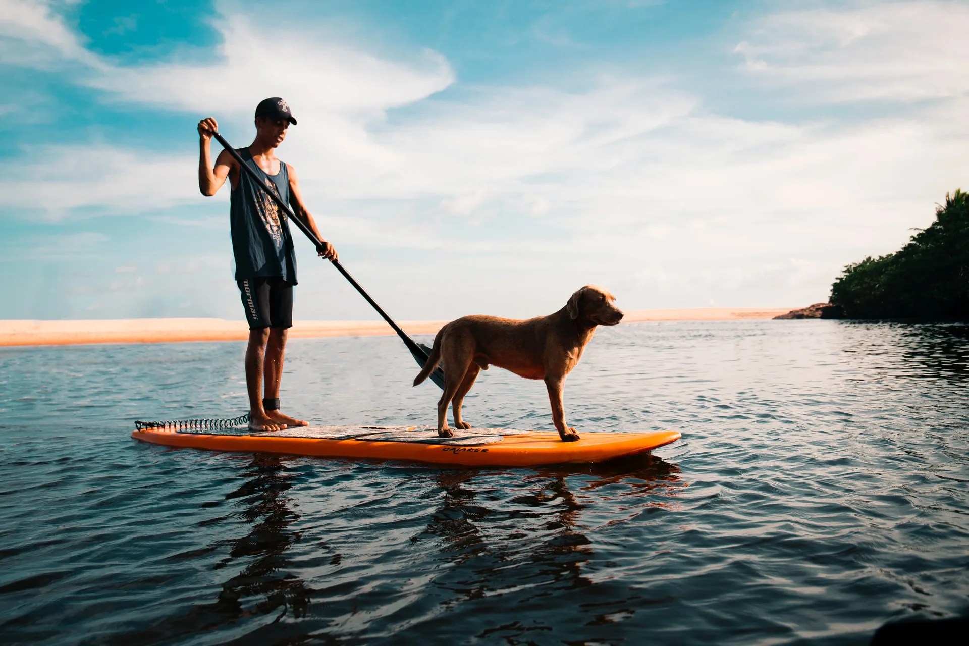 Best Standup Paddle Board For Dogs