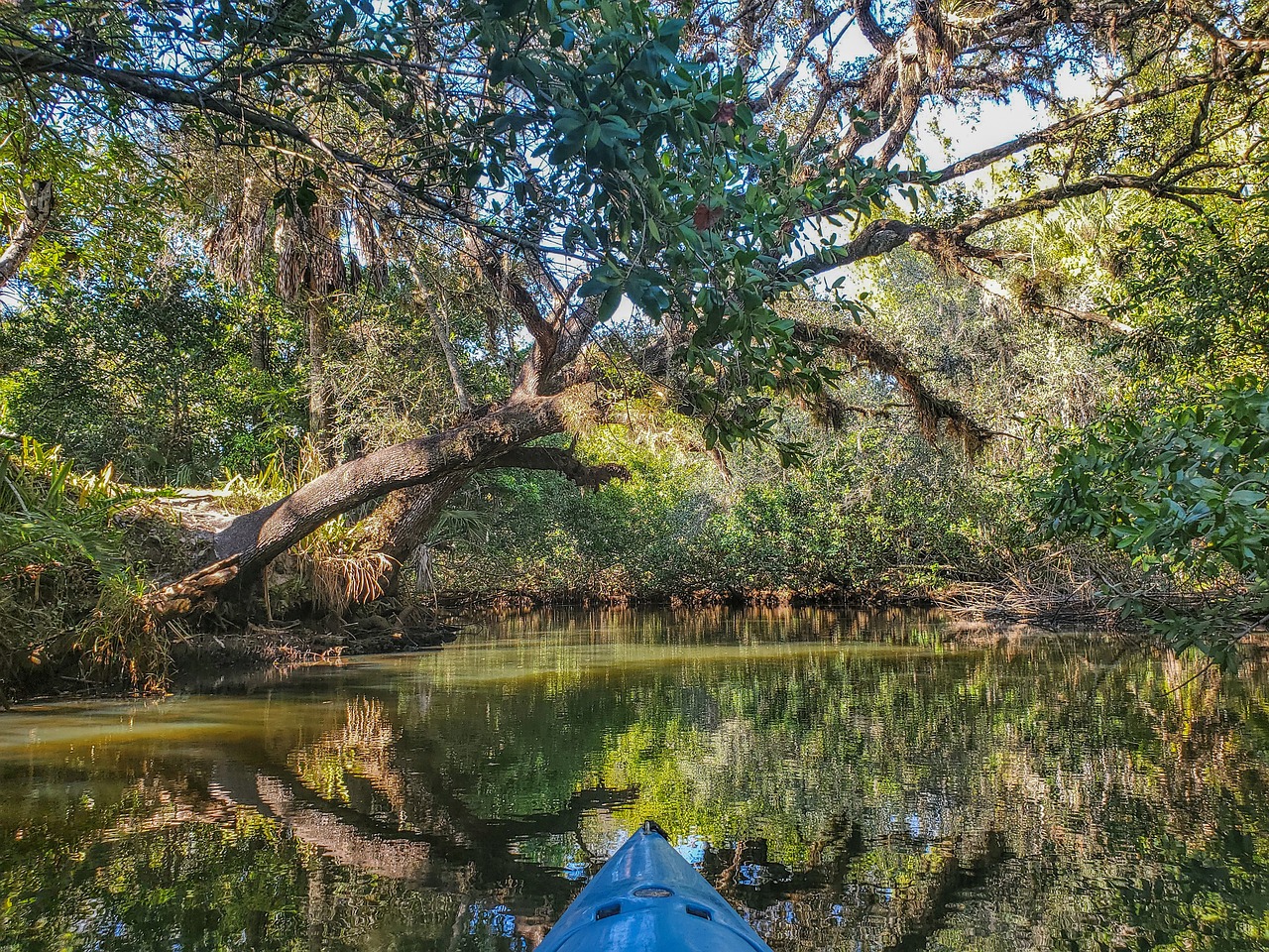 10 Best Kayaking with Manatees in Florida: A Unique and Thrilling Adventure