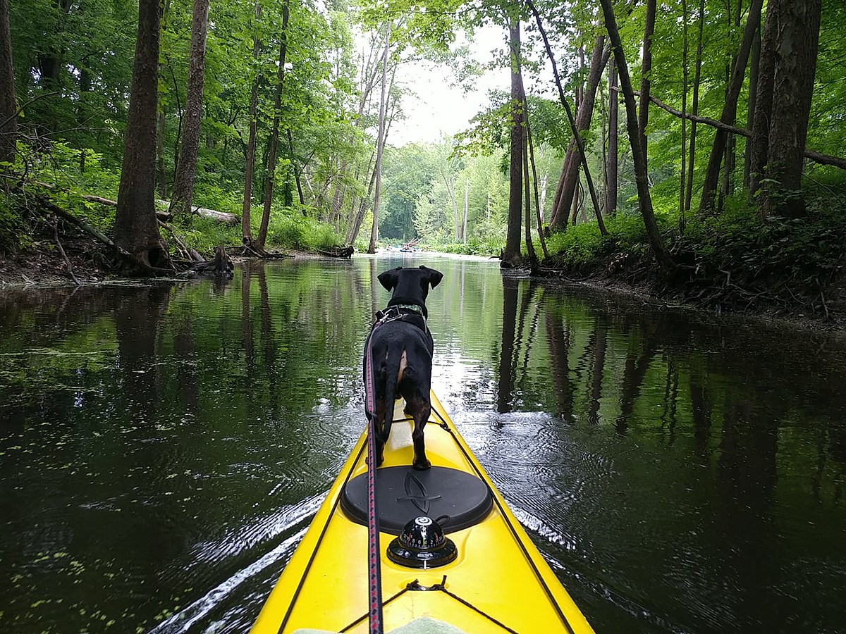 The Ultimate Kayaking Spots in Michigan