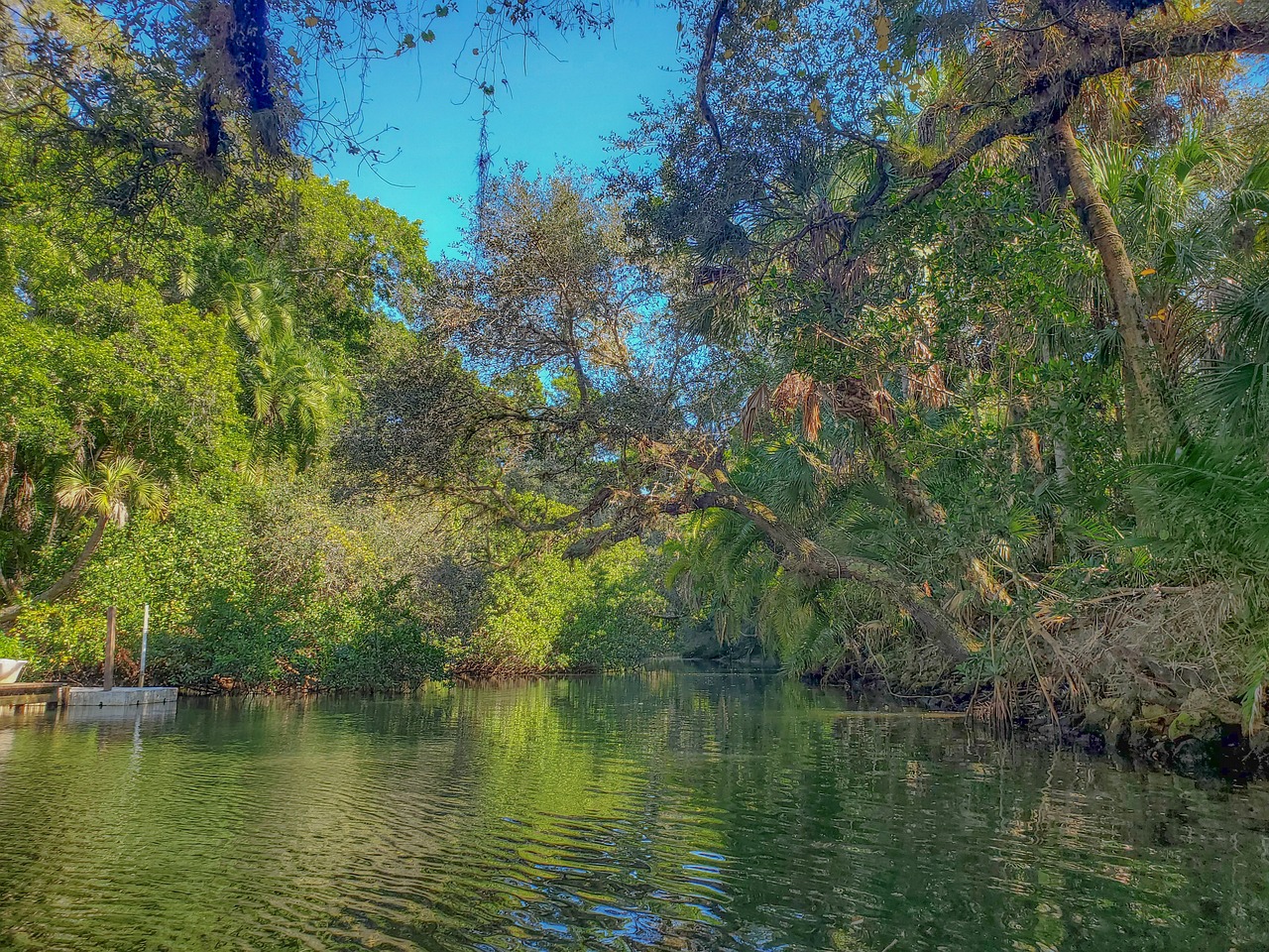 Exploring the Beauty of Weeki Wachee Kayaking