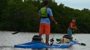 Top 5 paddle boarding spots in Connecticut for families