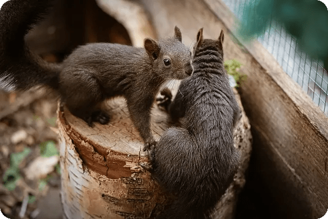 윈도우 로그를 통한 문제 해결 방법은