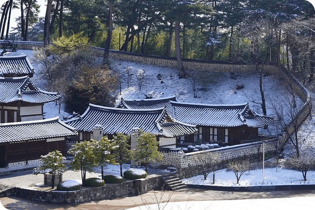 사형제 존폐 논란 정리 및 입장 분석