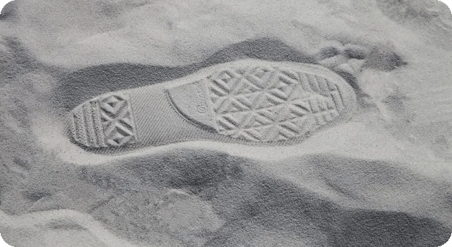 AI로 강화된 디지털 포렌식 혁신적 사례