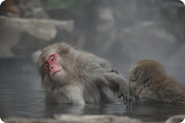 AI로 강화된 디지털 포렌식 혁신적 사례