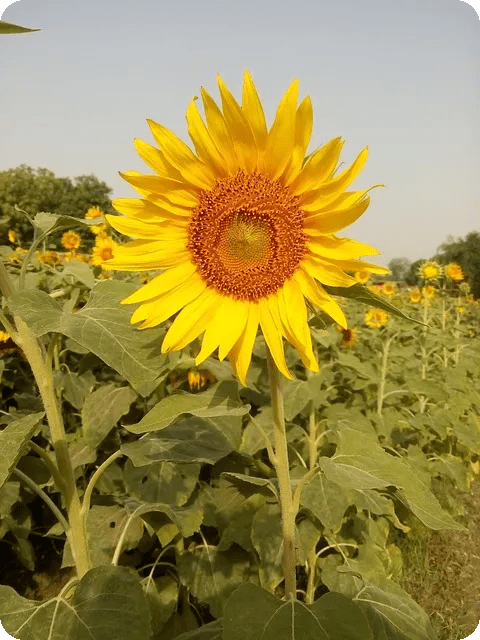 베스트셀러 전자책 만들기 전략은?