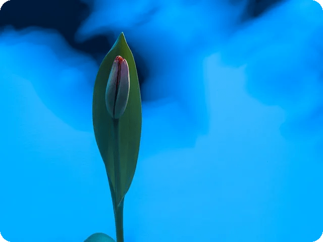 보안뉴스와 협력하여 보안 역량 강화하기