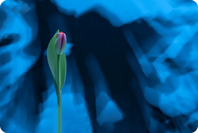 AI는 사람의 공감을 이해할 수 있을까