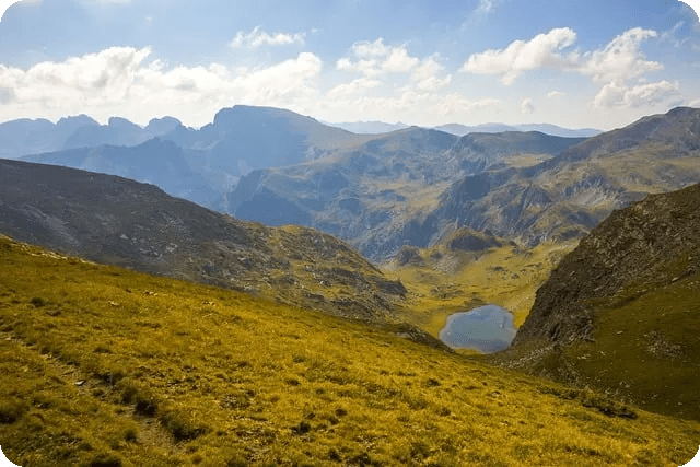 게임과 AI를 지원하는 최적의 PC는?